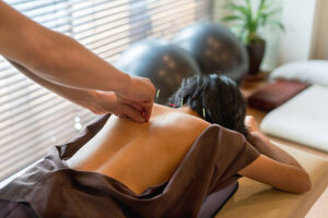 acupuncteur à Bourgoin-Jallieu